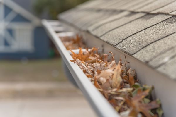 Leaf Barrier Installation in Thomasville